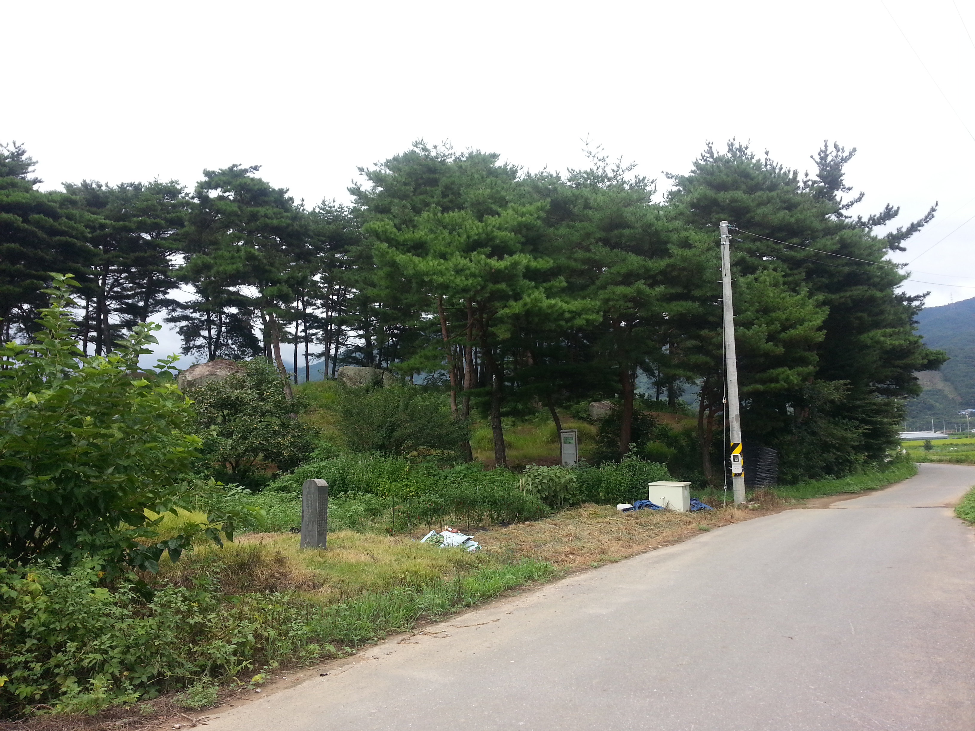 광양 산남리 남정 지석묘군 사진2