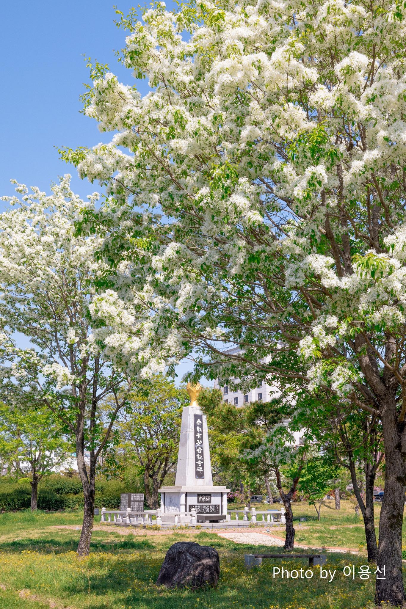 유당공원 사진12