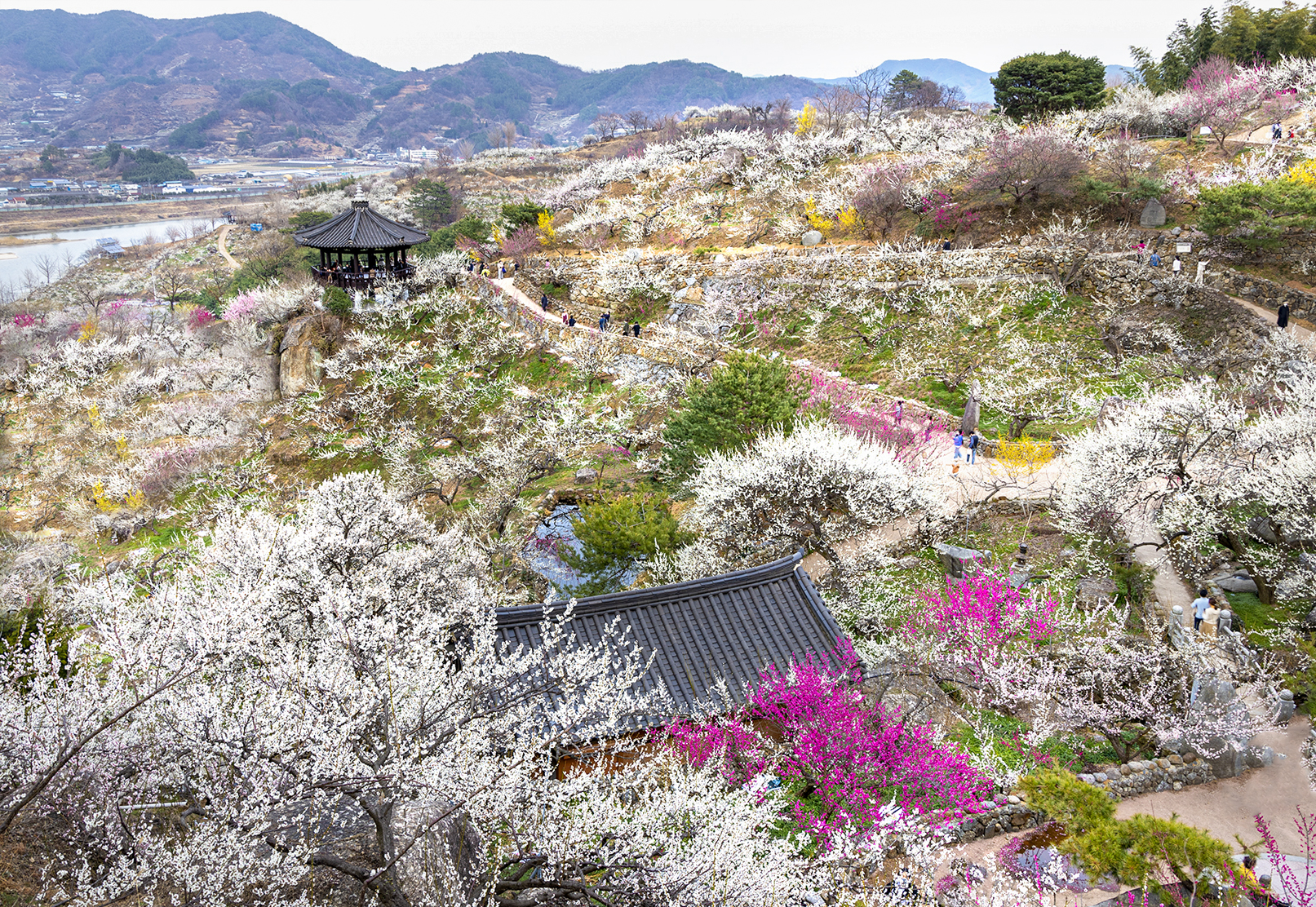 사진5