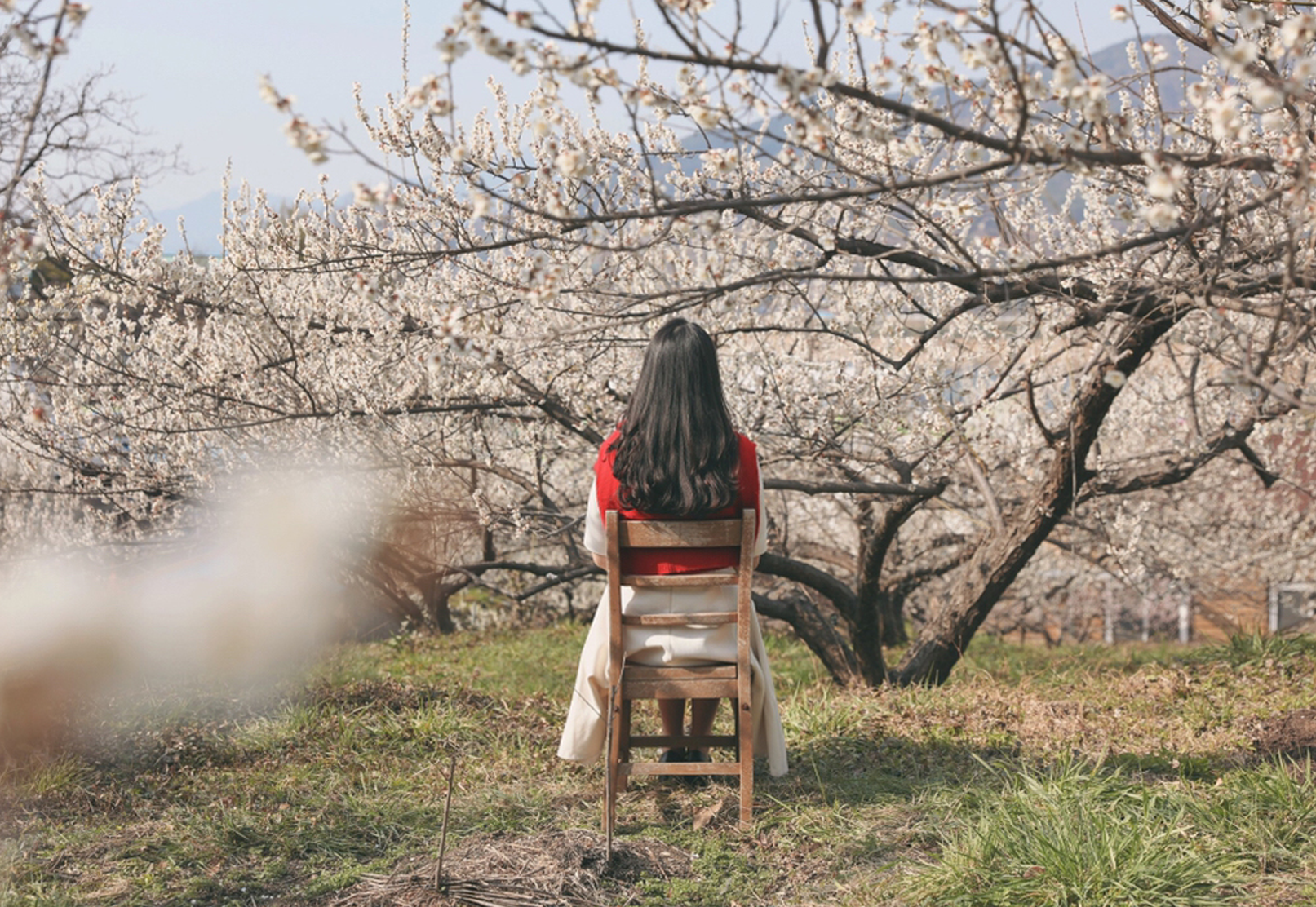  사진7