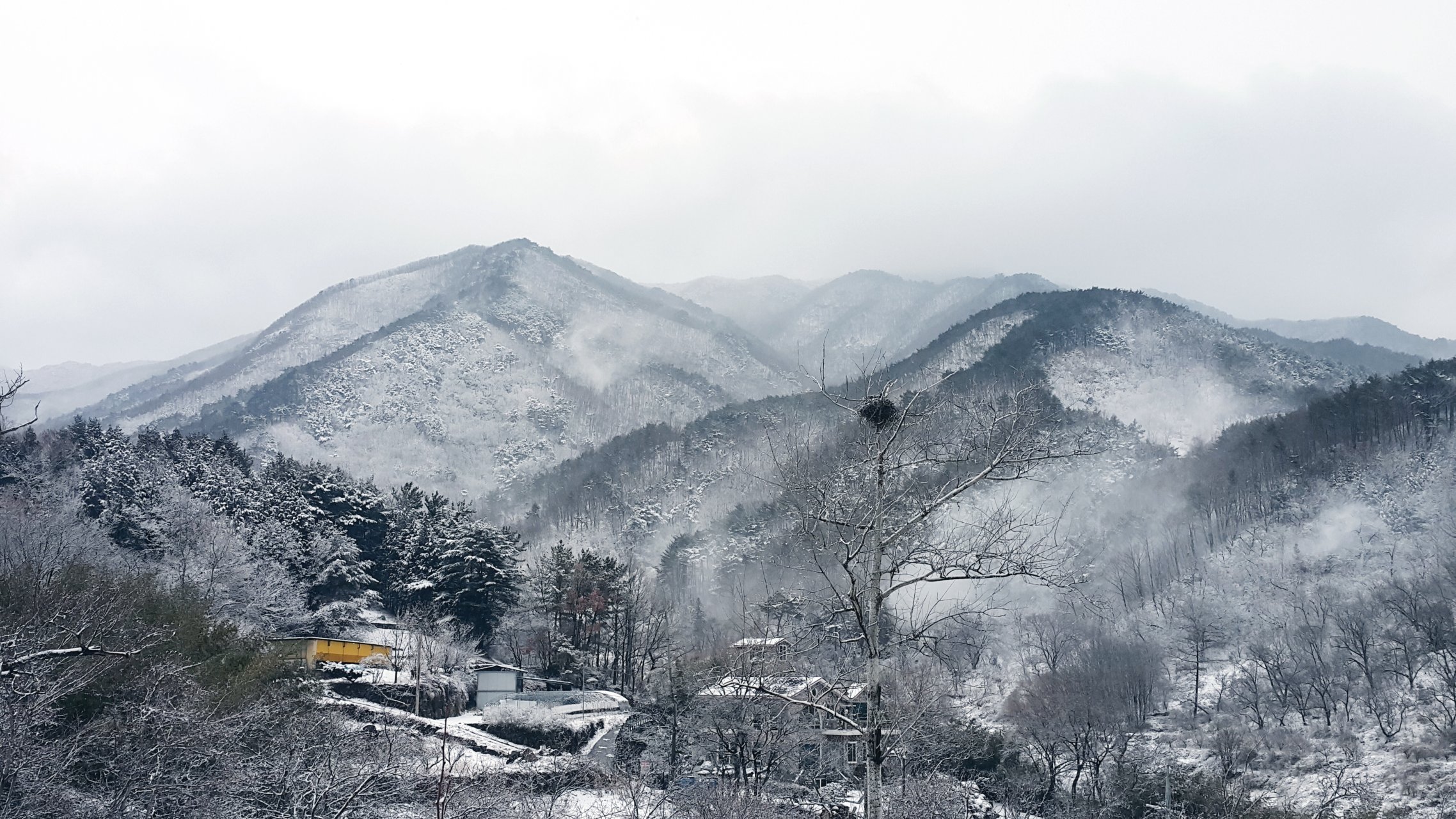 광양 백운산 (봉강 하조마을, 설경, 전경, 눈, 겨울)