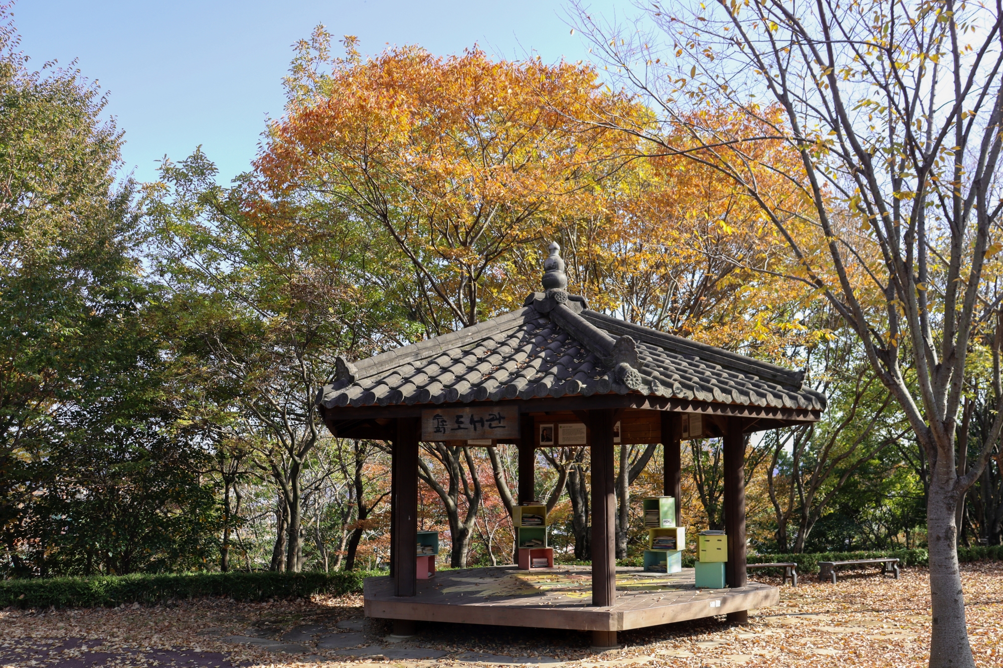 광양 우산공원 가을 숲속 도서관