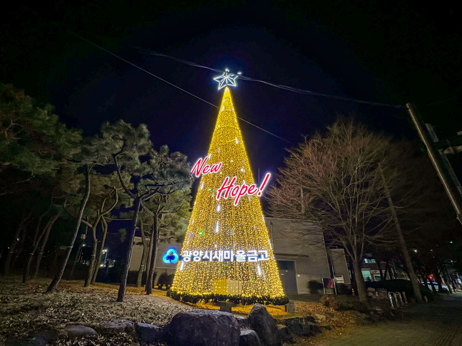 중마동 크리스마스 트리 [광양시청 사거리, 중마시장, 겨울, 야경]