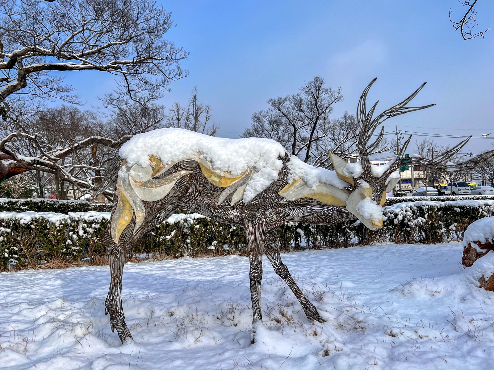 광양 유당공원 (겨울, 눈, 동물의 숲, 설경)