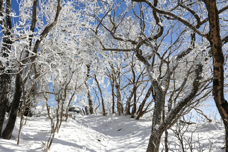 백운산 설경 (겨울, 등산, 산행, 100대 명산, 눈, 산행, 정상, 상봉)