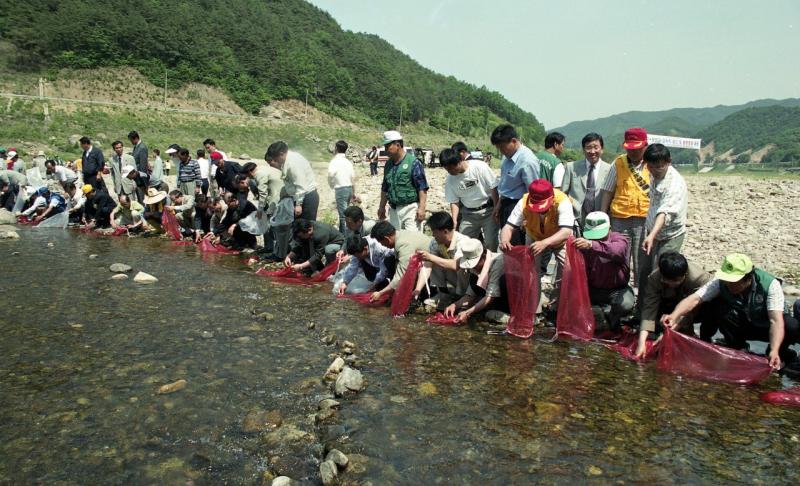 00년대 섬진강 토종어종(은어,참게)방류 2