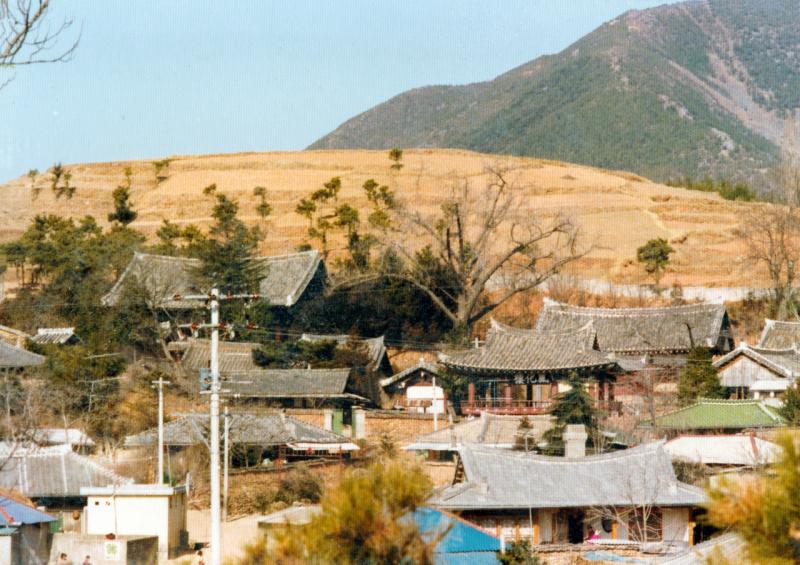 80년대 광양향교 전경 (광양읍, 광양군, 유교)