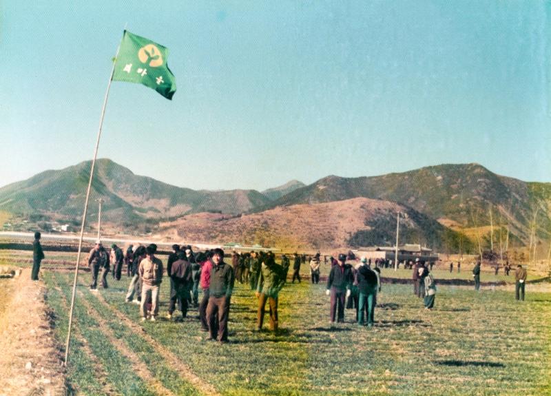 80년대 보리밭 밟기(용강,광양읍, 광양군,농업, 새마을)