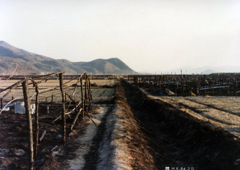 광양 오동평 시설원예 화재피해 11농가 5,700평 소실(광양군, 옥곡면, 오동마을)