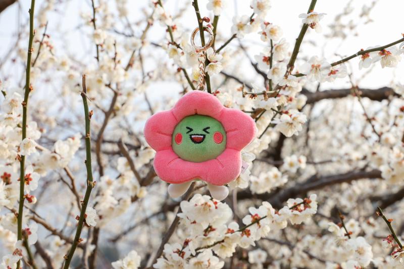 광양매화마을 (매화축제, 매화, 홍매화, 봄, 꽃, 매실, 청매실농원, 다압면, 홍쌍리, 축제, 개화율, 광양매화축제, 매돌이)