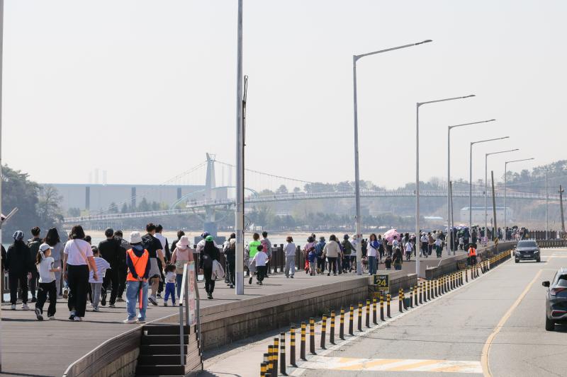 배알도 섬진강 힐링 걷기(자전거도로, 해오름육교, 별헤는다리, 태인동, 진월면, 봄)