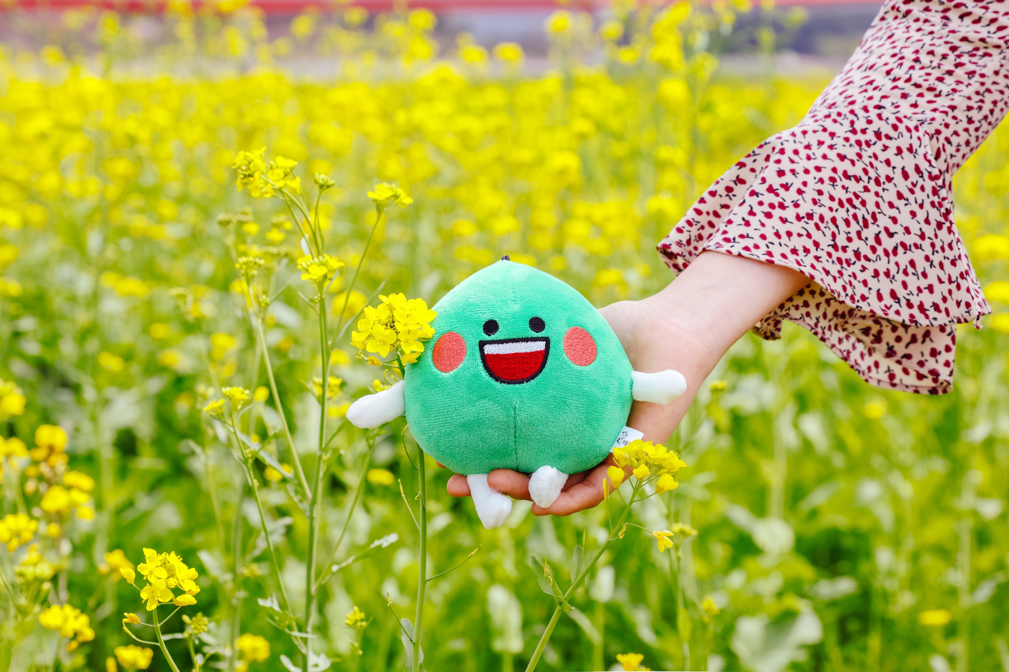 매돌이 인형[광양매실, 광양시 SNS 캐릭터]