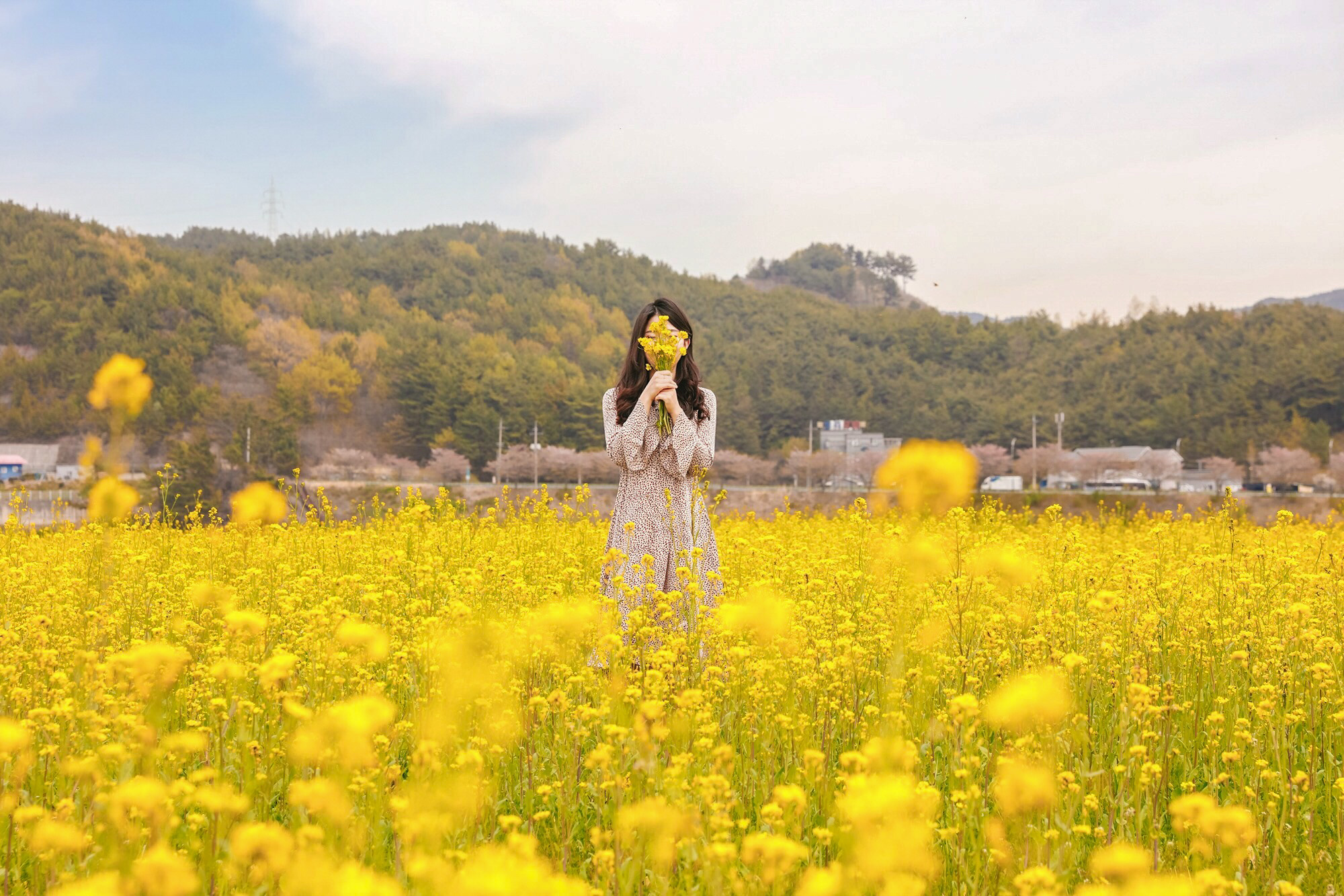 섬진강 유채꽃[진월, 꽃길, 봄, 스냅사진]