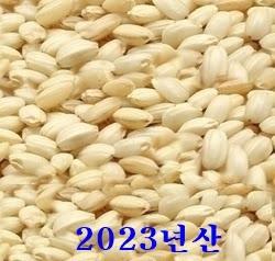 [2023년산] 찰현미 1kg