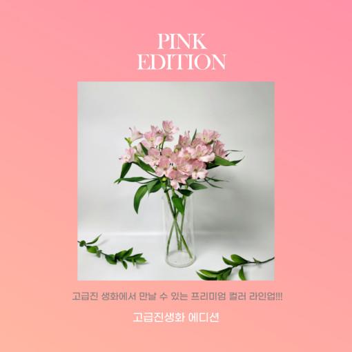 [핑크 에디션] 알스트로메리아 핑크빛의 화사한 꽃다발