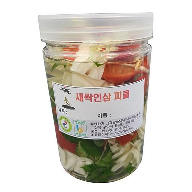 [체험활동꾸러미] (삼무루지새싹삼) 새싹인삼 피클 만들기 (광양)