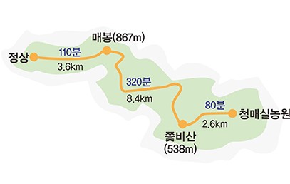 청매실농원(80분 2.6km)-쫓비산538m(320분 8.4km)-매봉869m(110분 3.6km)-정상