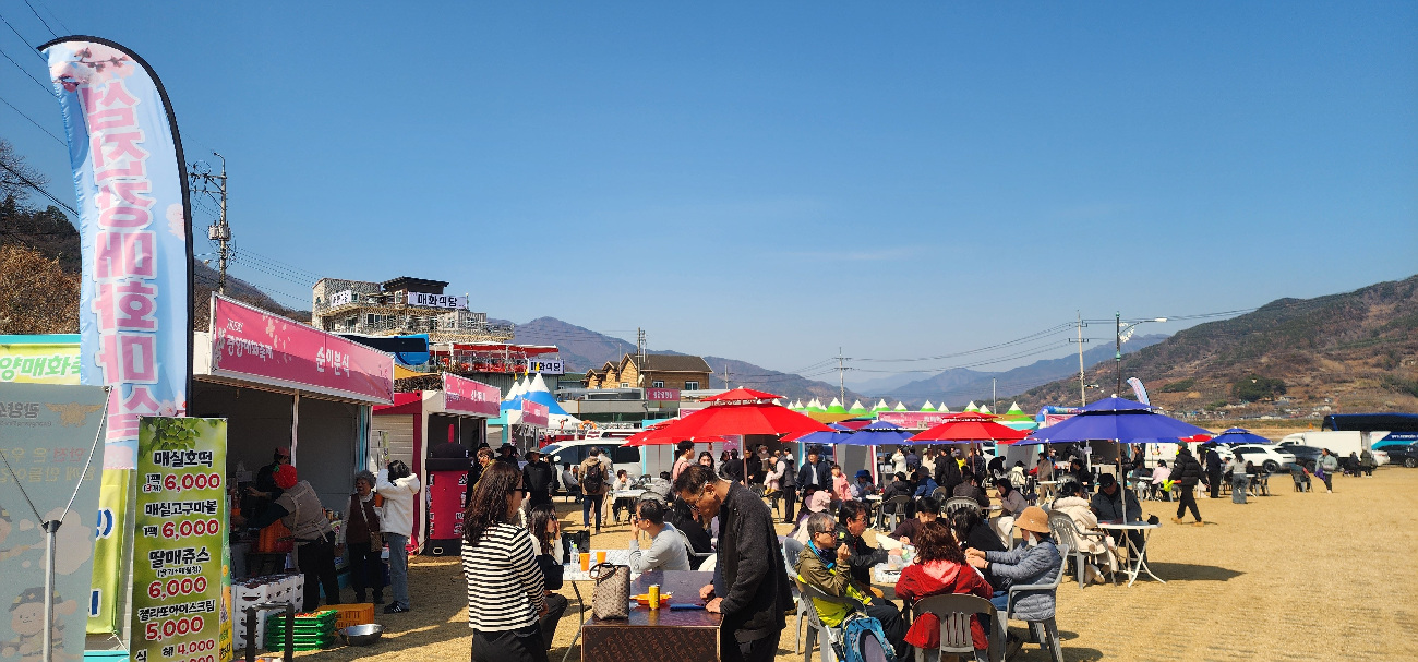제25회 광양매화축제, 북적이는 축제장…불법 야시장은 ‘한산’ - 문화 | 코리아NEWS