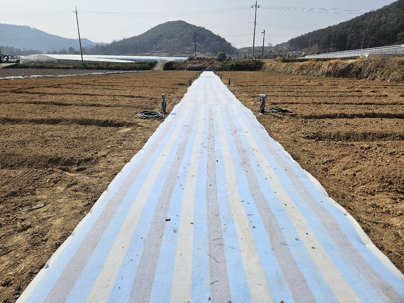 광양시 도시민 주말농장 개장, 150세대 선정 후 농사 체험 시작