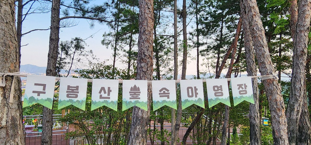 광양시, 숲·별빛·계곡 아우르는 체류형 캠핑 인프라 확대 - 환경 | 코리아NEWS