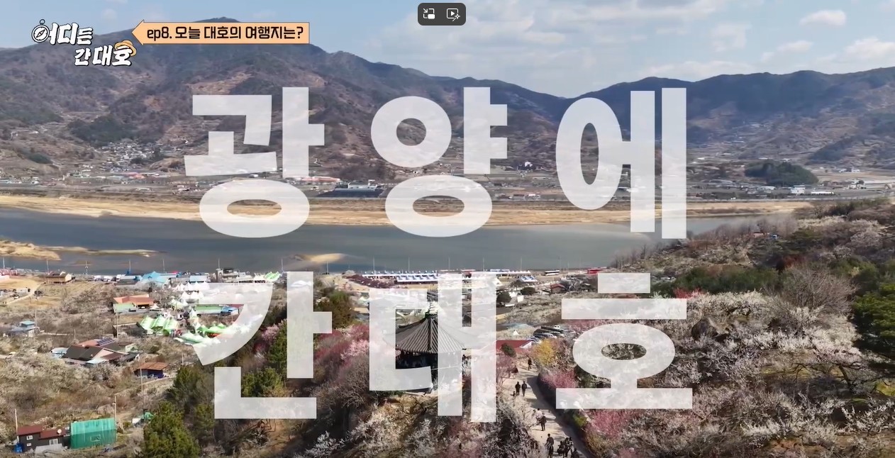 방송인 김대호가 찾은 ‘광양의 봄’, 매화축제부터 벚굴까지 화제 - 문화 | 코리아NEWS