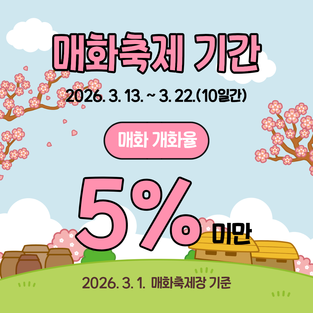 매화축제기간 26.3.13~3.22.(10일간)매화개화율 5%미만2026.3.1. 매화축제장 기준