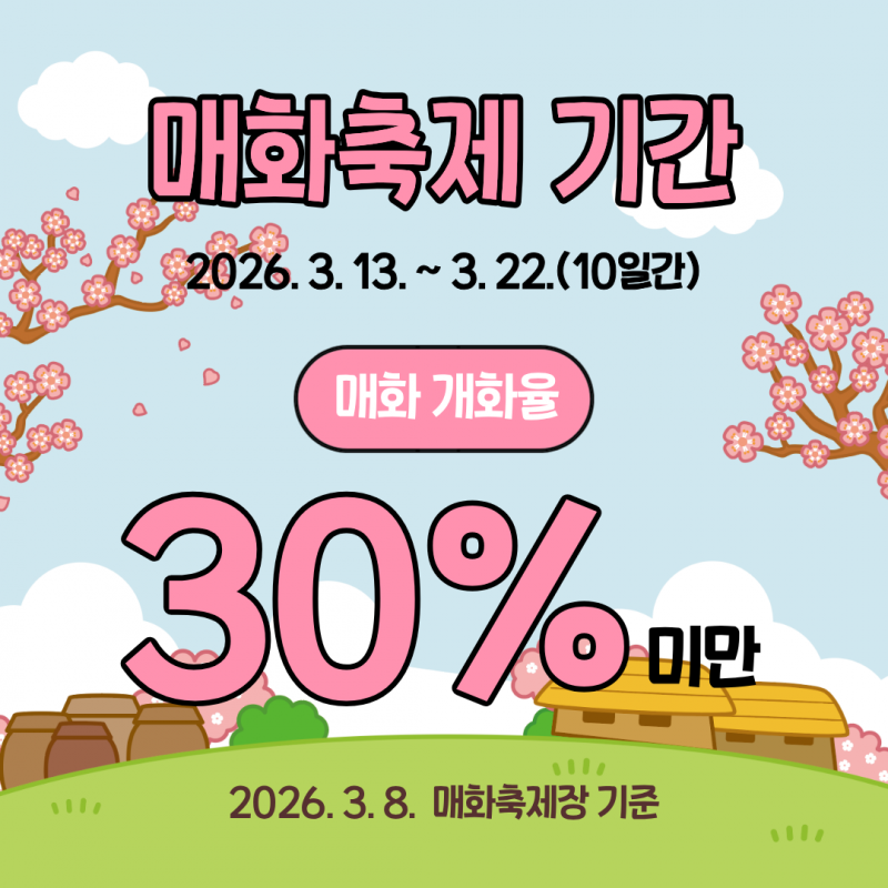 매화축제기간 26.3.13~3.22.(10일간)매화개화율 30%미만2026.3.8. 매화축제장 기준