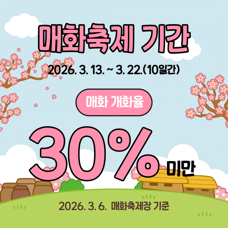 매화축제기간 2026.3.13~3.22(10일간)매화 개화율 30% 미만2026.3.6. 매화축제장 기준