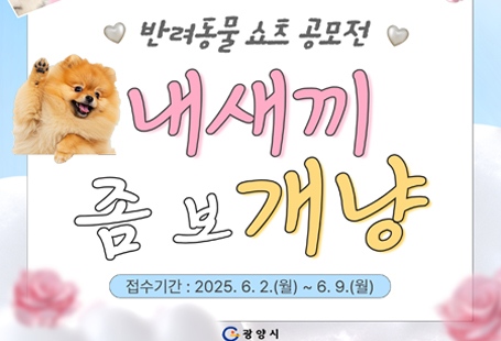 전 국민을 대상으로 '내새끼 좀 보개냥 쇼츠 공모전'이 아래와 같이 개최되니 많은 관심과 참여 부탁드립니다.  ✔ 공고기간: 2025. 5. 1.(목) ~ 6. 9.(월)  ✔ 접수기간: 2025. 6. 2.(월) ~ 6. 9.(월)  ✔ 공모대상: 반려동물을 사랑하는 국민 누구나(개인 또는 4인 이내 팀)  ✔ 공모주제: 반려견·반려묘와 함께 광양을 홍보할 수 있는 창의적인 모든 주제  ✔ 접수방법: 전자우편(gwangyangsi@naver.com)    - 출품파일, 제출 서류를 압축파일로 제출    - 파 일 명: 성명(팀명)-내새끼좀보개냥쇼츠공모전지원    - 제출서류: 지원서, 작품소개서, 개인정보 수집 이용 동의서, 작품 활용 동의서, 서약서 각 1부.  ✔ 문의: 광양시청 홍보소통실(☎061-797-1948)